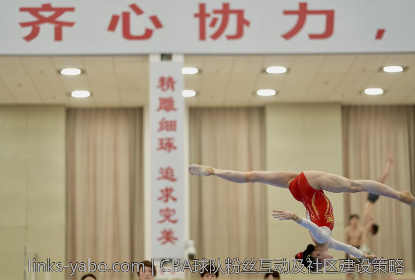 CBA球队粉丝互动及社区建设策略