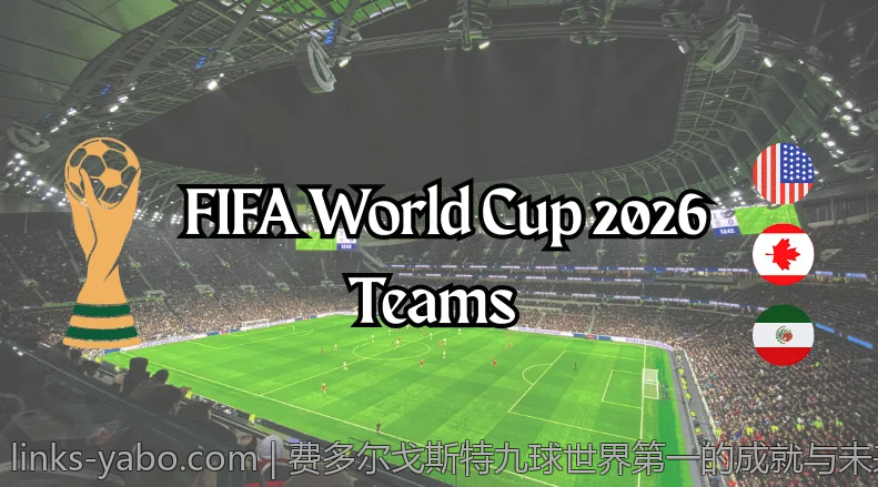 费多尔戈斯特九球世界第一的成就与未来期待